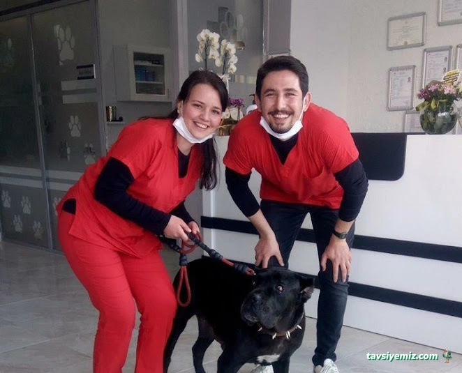 Canbu Veteriner Kliniği Canbu Veteriner Kliniği