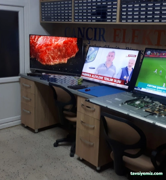 Çançır Elektronik Çançır Elektronik