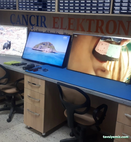 Çançır Elektronik Çançır Elektronik