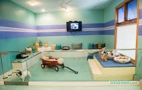 Canıfornıa Spa Center - Academy - Dog Hotel Canıfornıa Spa Center - Academy - Dog Hotel