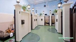 Canıfornıa Spa Center - Academy - Dog Hotel Canıfornıa Spa Center - Academy - Dog Hotel