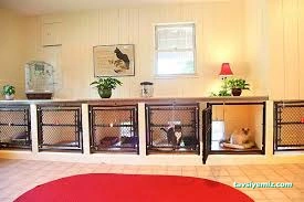 Catdoghouse78 Catdoghouse78