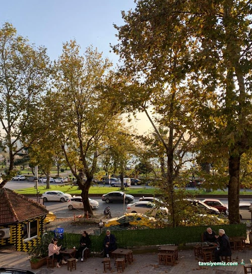 Çatı Pub Çatı Pub