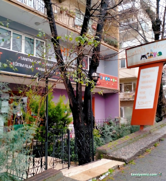 Catish & Dogish Veteriner Kliniği Catish & Dogish Veteriner Kliniği
