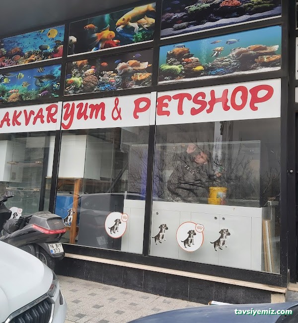 Bursa Cihan Akvaryum & Petshop Bursa Cihan Akvaryum & Petshop