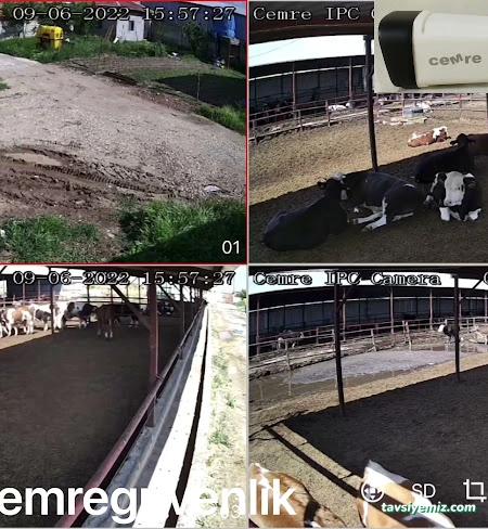 Cemre Bilgisayar Ve Güvenlik Sistemleri Cemre Bilgisayar Ve Güvenlik Sistemleri