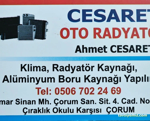 Cesaret Oto Radyatör Cesaret Oto Radyatör
