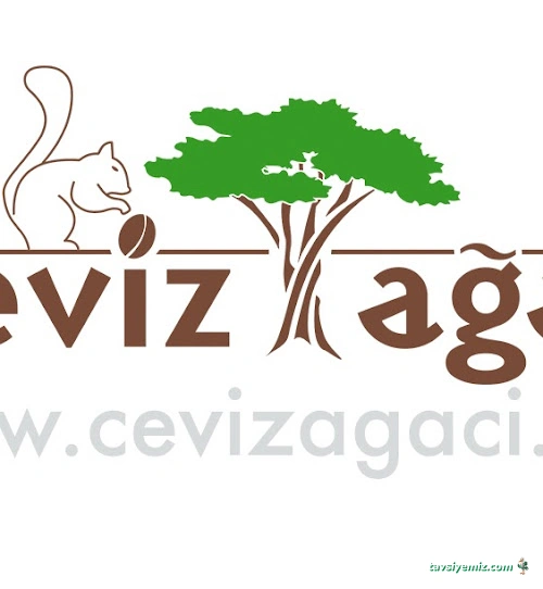 Ceviz Ağacı Ceviz Ağacı