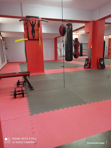 Ch Fight School Ch Fight School