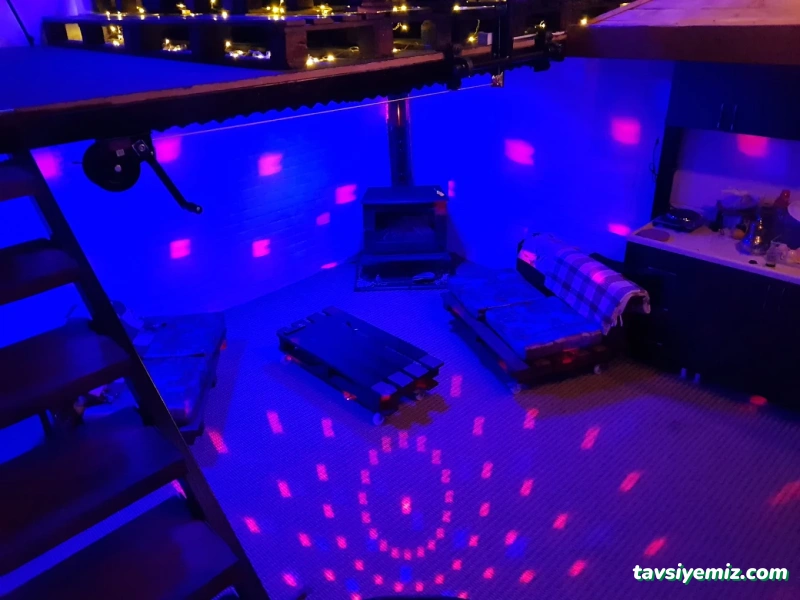 Chek-Me Cat Nightclub Chek-Me Cat Nightclub