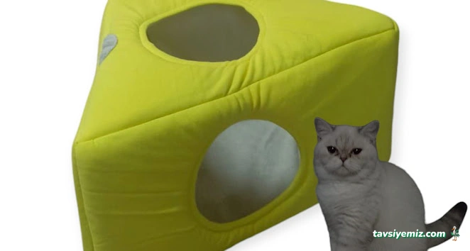 Çilek Petshop