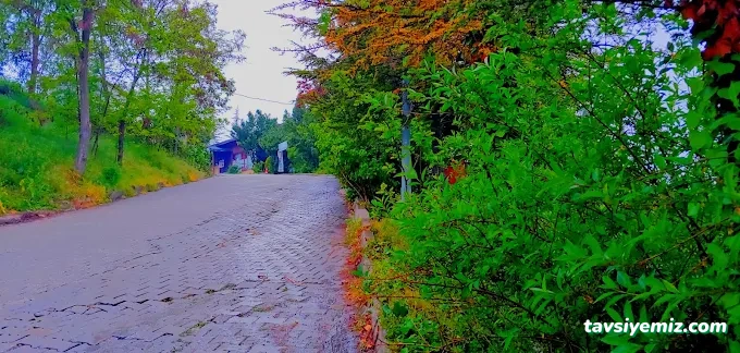 Çınar Hurdacılık Çınar Hurdacılık