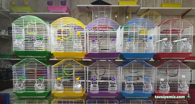 Çınar Petshop & Hobi Center Çınar Petshop & Hobi Center
