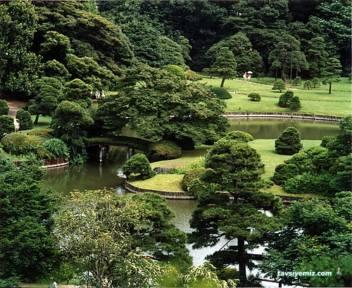 Çizgi Peyzaj-Mezar Bakım Kırşehir