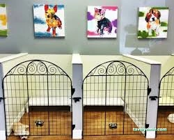Çizmeli Kedi Petshop & Kedi Oteli - Kedi Pansiyonu Çizmeli Kedi Petshop & Kedi Oteli - Kedi Pansiyonu