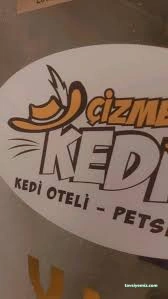 Çizmeli Kedi Petshop & Kedi Oteli - Kedi Pansiyonu Çizmeli Kedi Petshop & Kedi Oteli - Kedi Pansiyonu