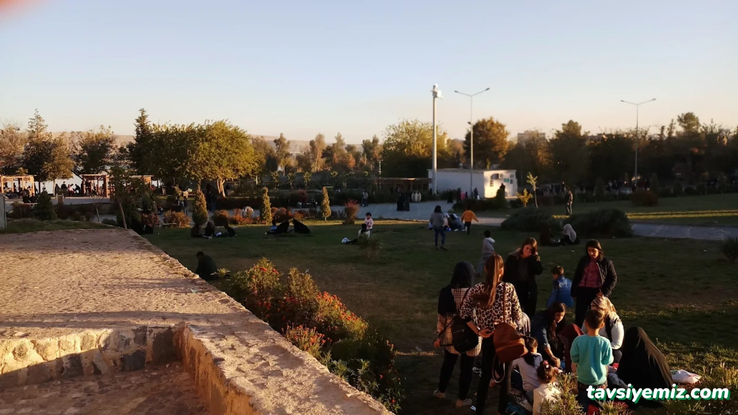 Cizre Lunaparkı Cizre Lunaparkı