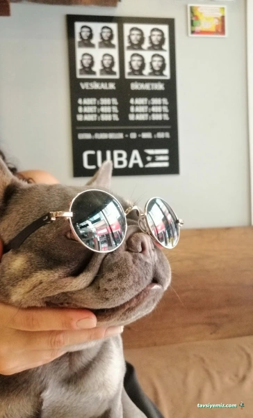 Cuba Fotoğrafçılık Cuba Fotoğrafçılık