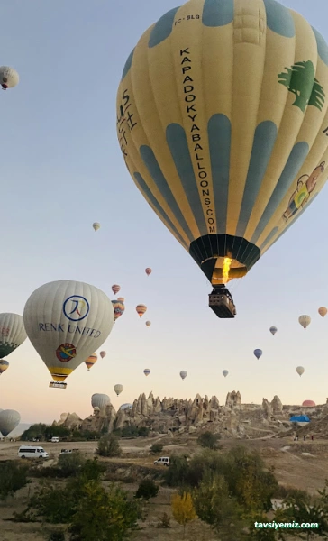 Daloğlu Turizm Daloğlu Turizm