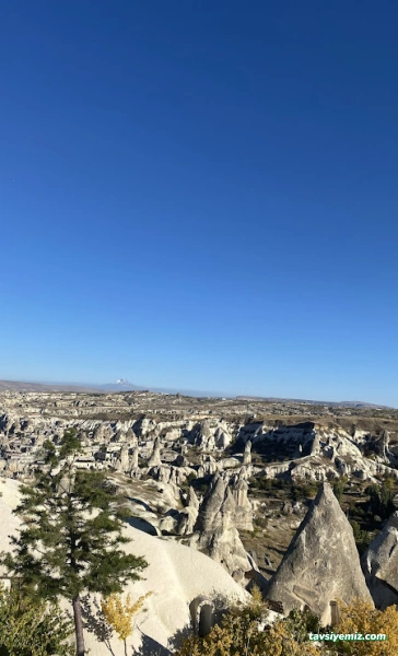Daloğlu Turizm Daloğlu Turizm
