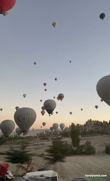 Daloğlu Turizm Daloğlu Turizm