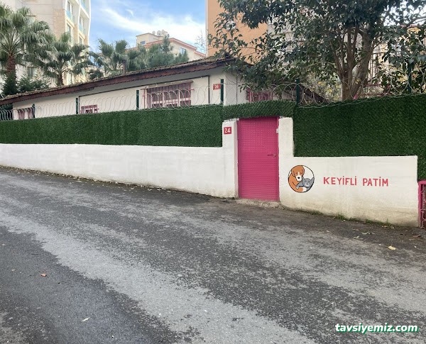 Keyifli Patim | Köpek Oteli | Köpek Pansiyonu | Pet Otel Keyifli Patim | Köpek Oteli | Köpek Pansiyonu | Pet Otel