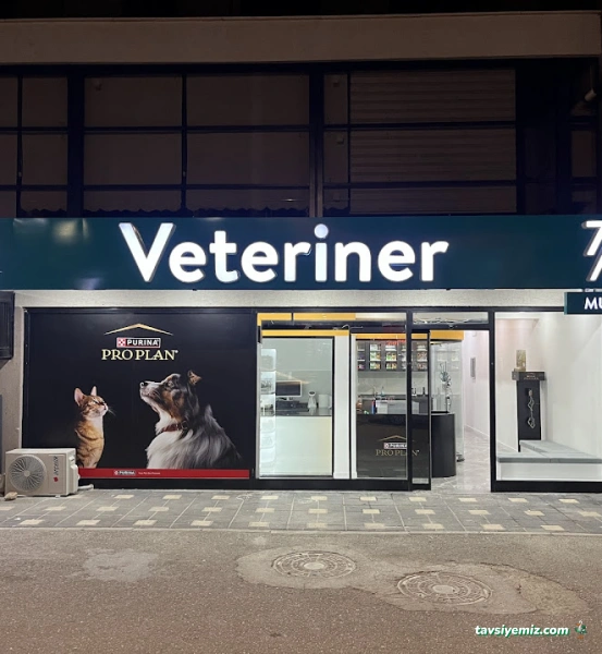 Demirtaş Veteriner Kliniği | 7/24 Acil Veteriner | Nöbetçi Veteriner | Demirtaş Veteriner | Osmangazi Veteriner Demirtaş Veteriner Kliniği | 7/24 Acil Veteriner | Nöbetçi Veteriner | Demirtaş Veteriner | Osmangazi Veteriner