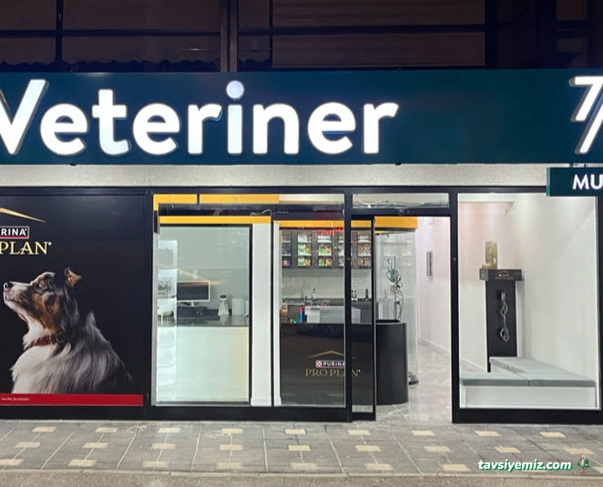 Demirtaş Veteriner Kliniği | 7/24 Acil Veteriner | Nöbetçi Veteriner | Demirtaş Veteriner | Osmangazi Veteriner Demirtaş Veteriner Kliniği | 7/24 Acil Veteriner | Nöbetçi Veteriner | Demirtaş Veteriner | Osmangazi Veteriner