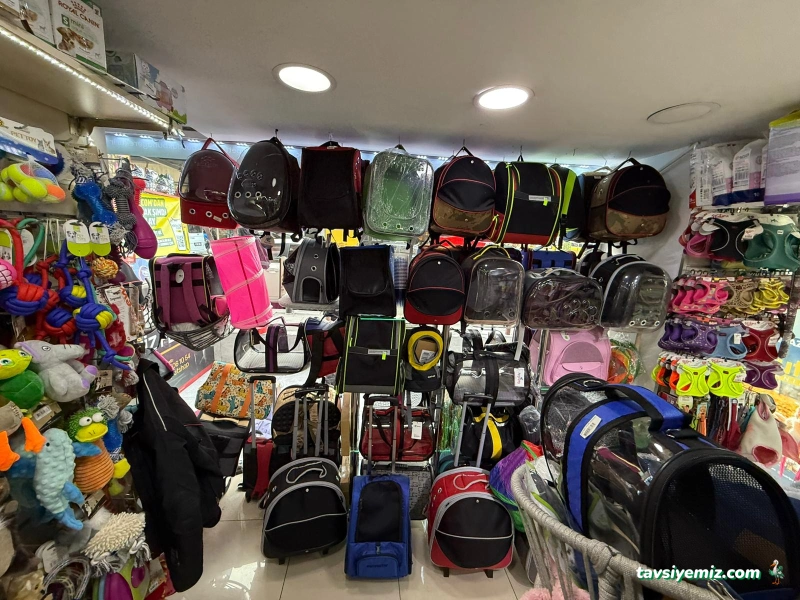 Deniz Akvaryum Pet Shop