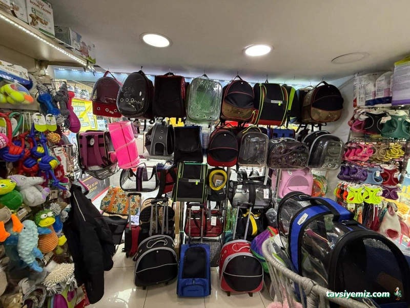 Deniz Akvaryum Petshop