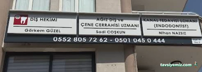 Dent 01 Çene Cerrahisi