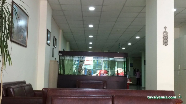 Dentsivas Özel Diş Polikliniği Ve İmplant Merkezi