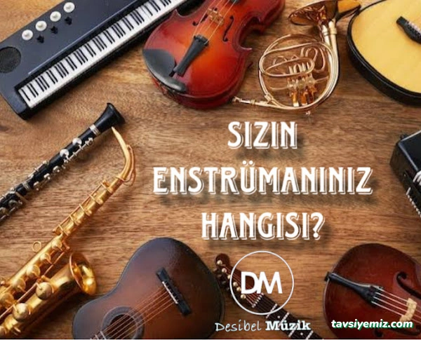 Desibel Müzik Kültür Ve Sanat Merkezi