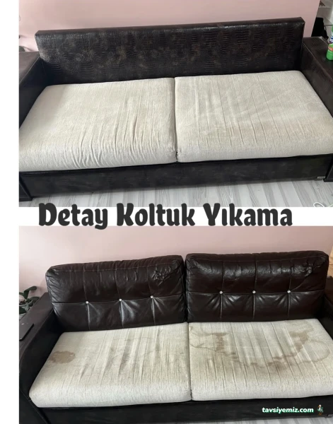 Detay Koltuk Yıkama