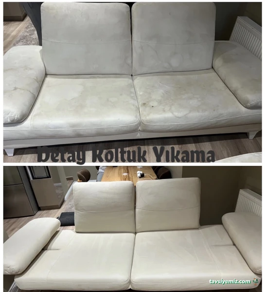 Detay Koltuk Yıkama