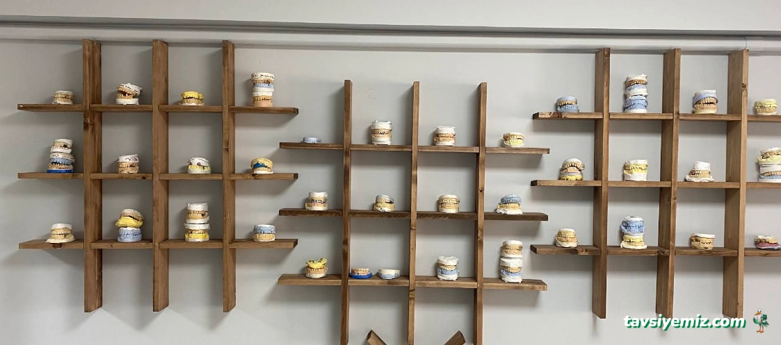 Diş Hekimi Safa Ayar