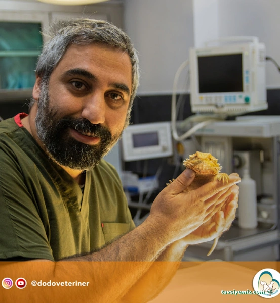 Dodo Veteriner Polikliniği Dodo Veteriner Polikliniği