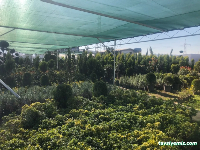 Doğa Peyzaj Osmaniye Doğa Peyzaj Osmaniye