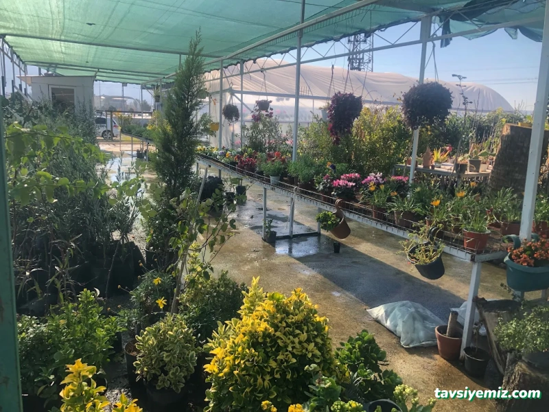 Doğa Peyzaj Osmaniye Doğa Peyzaj Osmaniye