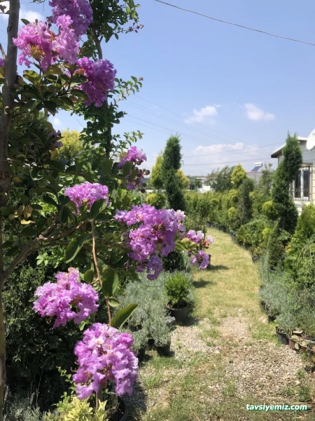 Doğa Peyzaj Osmaniye Doğa Peyzaj Osmaniye