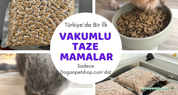 Doğan Petshop 1-Güllük Doğan Petshop 1-Güllük