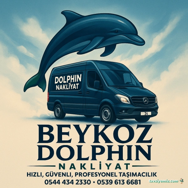 Dolphin Nakliyat