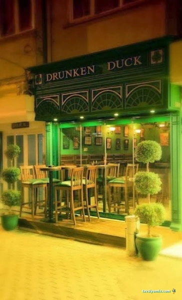 Drunken Duck Pub Drunken Duck Pub