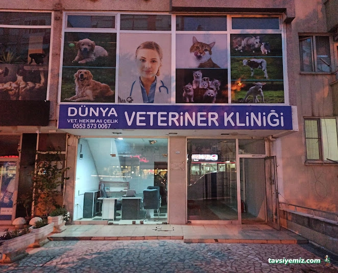 Dünya Veteriner Kliniği Dünya Veteriner Kliniği