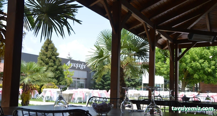 Düzce Ayışığı Kır Düğünü Ve Cafe Düzce Ayışığı Kır Düğünü Ve Cafe