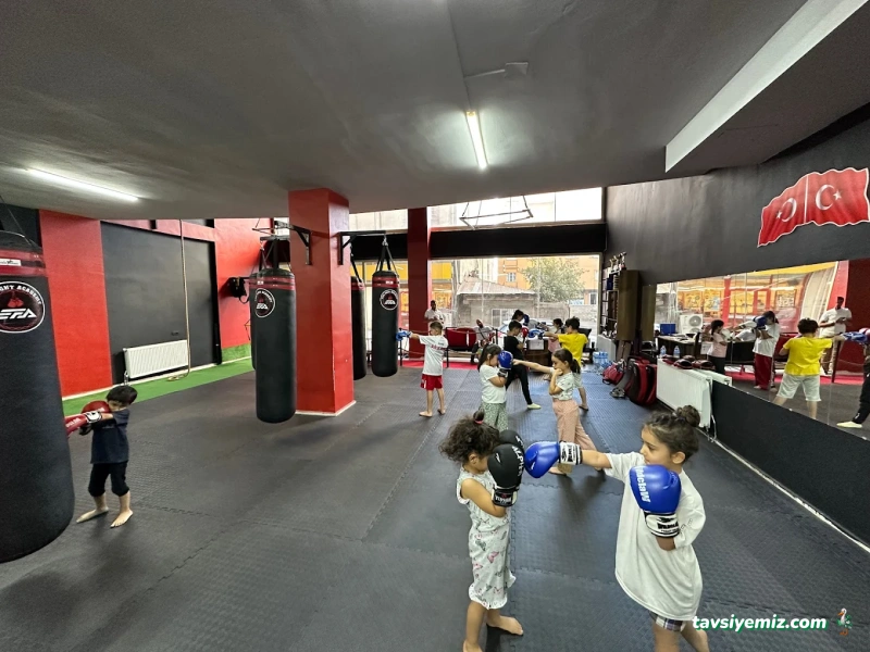 Edis Fıght Academy Edis Fıght Academy