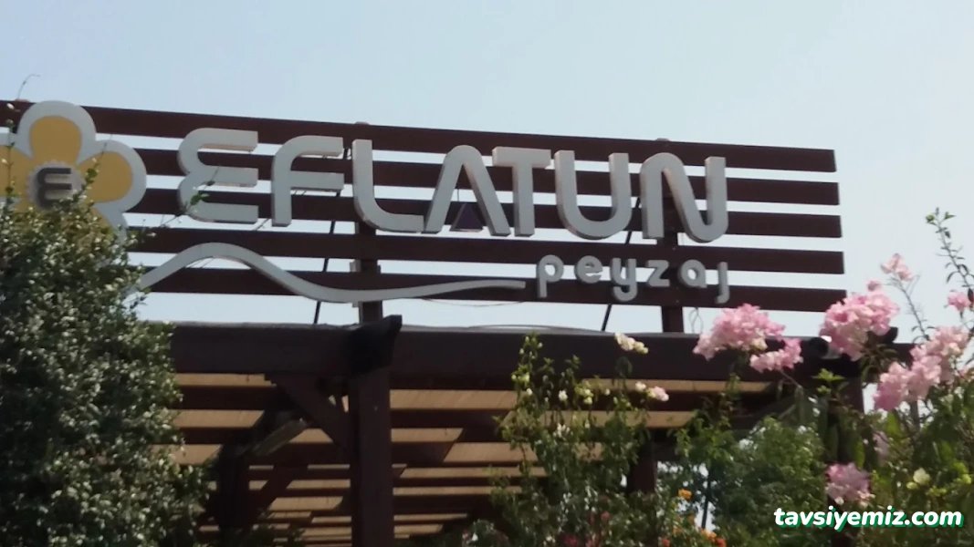 Eflatun Peyzaj Eflatun Peyzaj