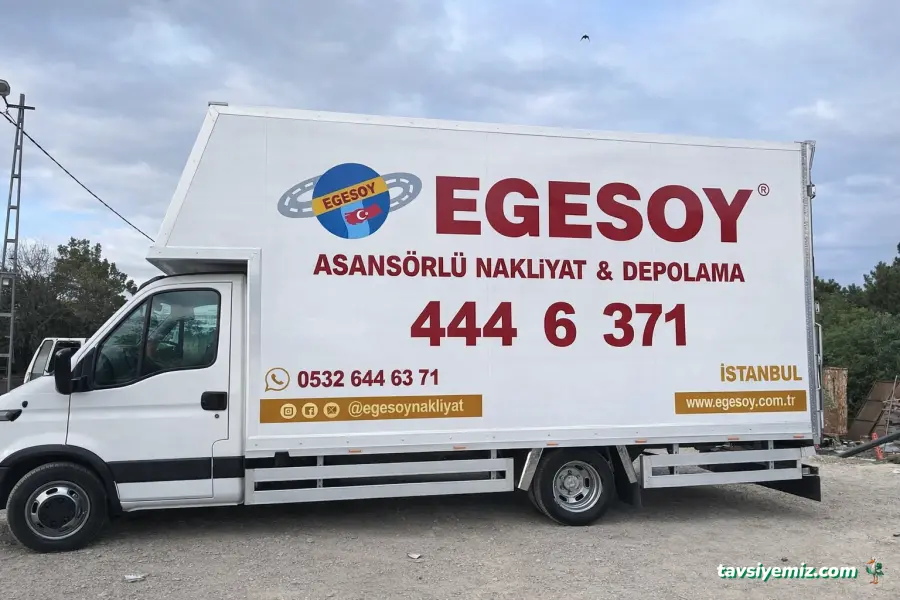 Egesoy Asansörlü Nakliyat