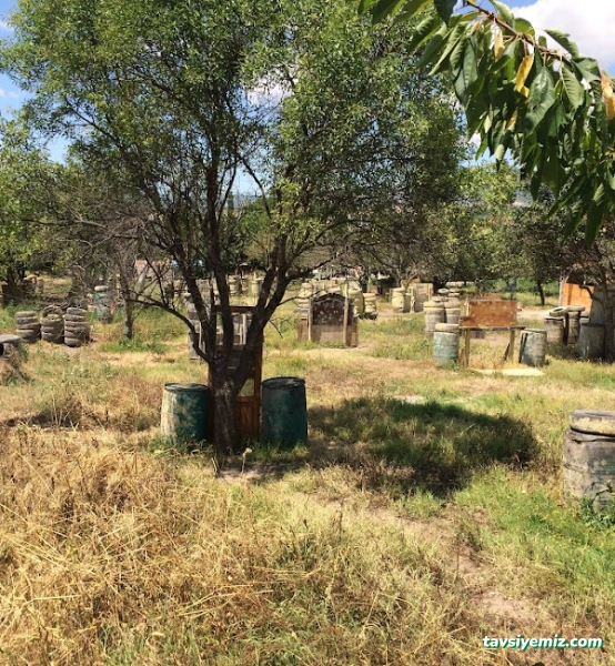 Ekerpaintball