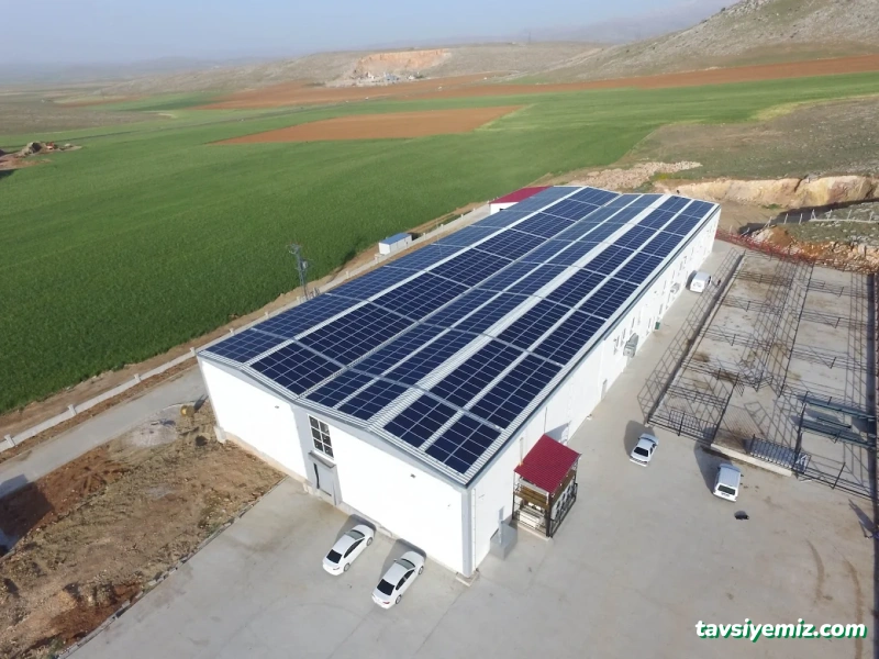 Ekinox Enerji A.ş. Ekinox Enerji A.ş.